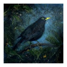 The Evening Star- Catherine Hyde