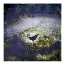  Evening's Star Glimmers - Catherine Hyde