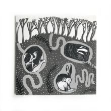 Burrows By Folded Forest