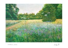 Wildflower meadow
Ref-COL5