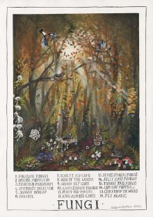 Fungi By Driftwood Designs
