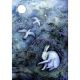 Havergate Hare - Greetings Card BY Alexi Francis