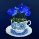 Still Life with Cup 3 by Rosalinda Kightley