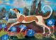 Running Dog Raphael Balme