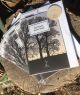 Ten Poems about Trees Various Authors