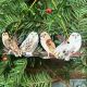 Winter Owls On A Branch Birch Plywood Decoration by Clare O’Neill 