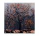 The persimmon tree by Catherine Hyde