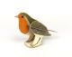 Pop-Out Robin
by Alice Melvin