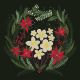 Winter Flowers Artist: Anjana Mistry AGBI CHRISTMAS CARD PACK