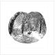 Beyond the Clearing Artist: Ann Tout AGBI CHRISTMAS CARD PACK 