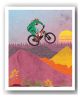 Bike Park Wales - David Broadbent
