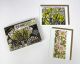 Postcard Box from Wood Engravings by Angie Lewin