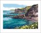 Cornish Cove by Andy Lovell   