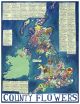 UK County Flowers Poster Print By Driftwood Designs