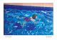 Swimming Solo by  Drusilla Cole 