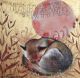 Fox - when thou art weary By Sam Cannon