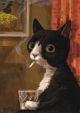 Grandma's Cat by Alison Friend