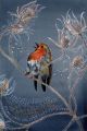 I heard a bird sing
In the dark of December.
A magical thing
And sweet to remember.
