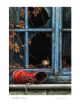 Red Boot and Wren By Jeremy Paul