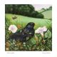 Summer meadow
Ref-JJ23