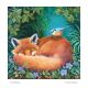 Time to dream by Jemima Jameson