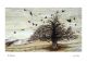  The Whimble by Jane Keay