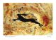 The dance of the black hare by Jane Keay