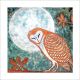 Barn Owl By Janine Partington