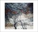 Privacy of Winter by Jo Barry