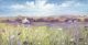 Meadows Of Spring