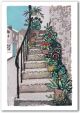 Flower Pots St Ives - Hazel McNab 