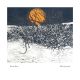 Winter Thorn By Phil Greenwood