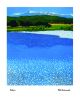 Cadair By Phil Greenwood