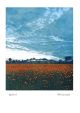 Sky Anvil by Phil Greenwood RE