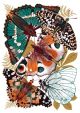 Vicki Johnson
Wings