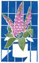 Foxgloves By Sophie Elm ***