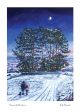 Crown of Christmas By Rich Edwards