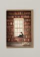 Reading Nook By Fleck Illustration