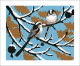 Winter Longtail by Robert Gillmor