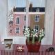 London Window Jill Leman