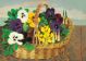 Pansies Mary Fedden OBE RA