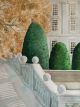 VERA ROSENBERRY Clare Bridge