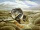 ERIC RAVILIOUS
Salt Marsh|1938