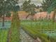 CEDRIC MORRIS
Wartime Garden
