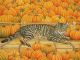  Ditz The Pumpkin-Cat|1995