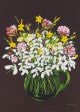 Snowdrops and Winter Jasmine By Sarah Gillard