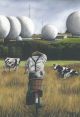 So Much to Sat Nav By Claire Baxter