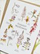 Summer Wildflowers By Angela Hennessy