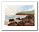 Sunshine and Seagulls GREETING CARD BY IAN PHILLIPS LINOCUT ARTIST