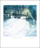Moonlight Shadows  Etching by Sally Winter   